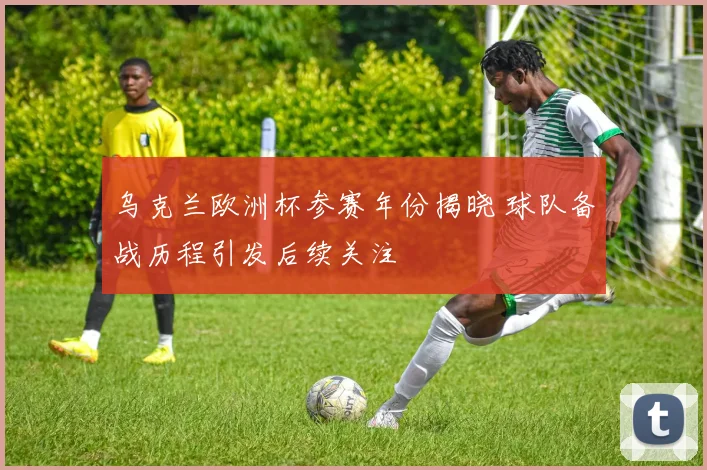 乌克兰欧洲杯参赛年份揭晓 球队备战历程引发后续关注