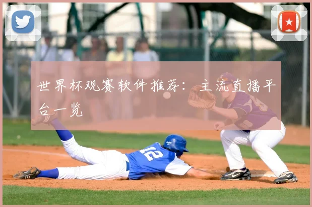 世界杯观赛软件推荐：主流直播平台一览