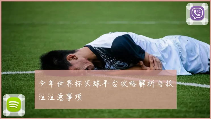 今年世界杯买球平台攻略解析与投注注意事项