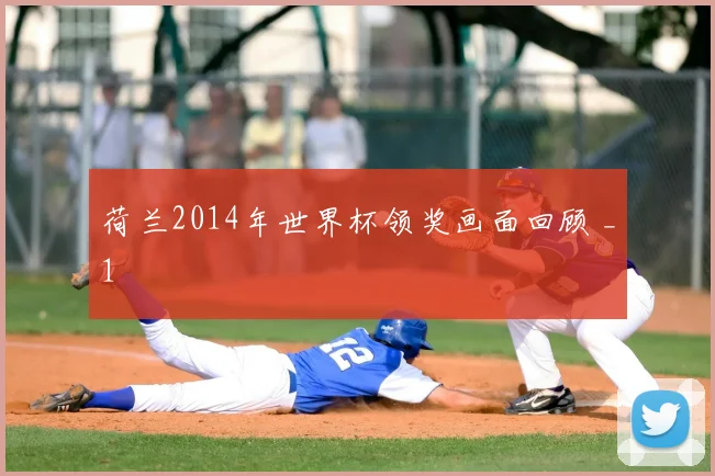荷兰2014年世界杯领奖画面回顾 _1