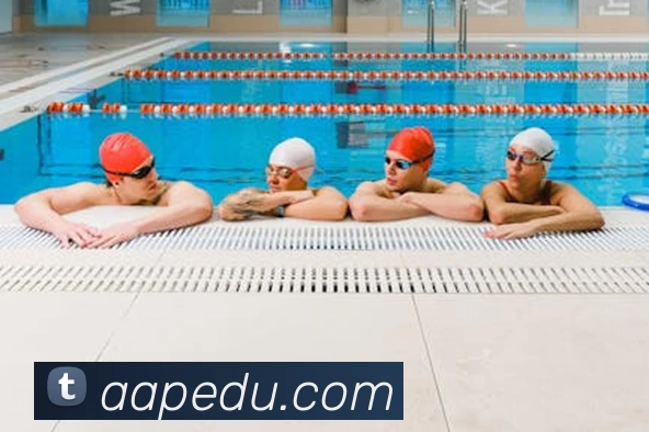 App Interface Preview