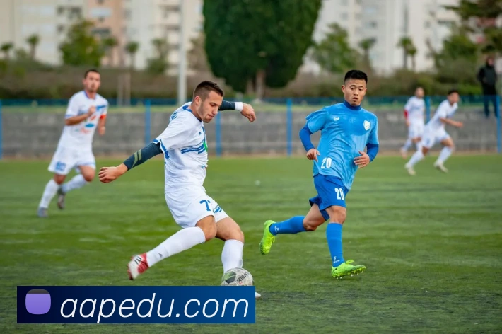 米兰官方网站入口APP 封面图